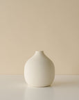 Camilia Supply Pampas Vase