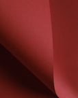 20 pcs Camilia Standard Kraft Wrapping Paper (Large Size)