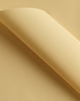 20 pcs Solid Color Waterproof Wrapping Paper