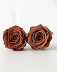 Camilia Preserved Rose 8pcs