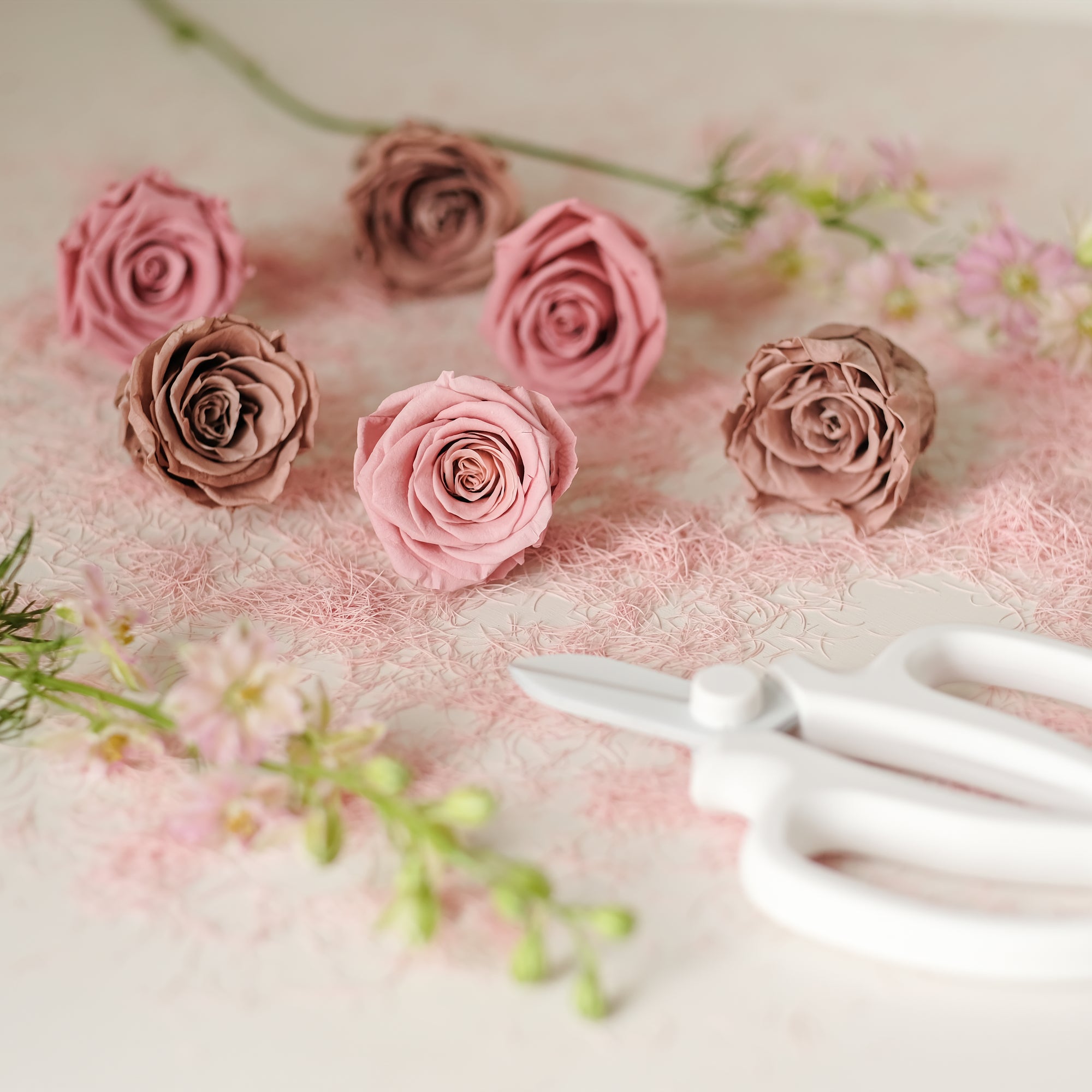 Camilia Supply Preserved Rose