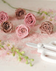 Camilia Supply Preserved Rose