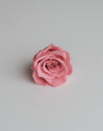 Camilia Preserved Rose 8pcs