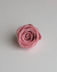 Camilia Preserved Rose 8pcs