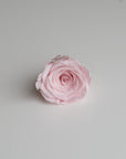Camilia Preserved Rose 8pcs