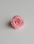 Camilia Preserved Rose 8pcs