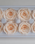 Camilia Preserved Rose 8pcs