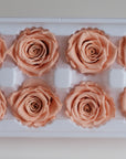 Camilia Preserved Rose 8pcs