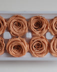 Camilia Preserved Rose 8pcs