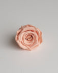 Camilia Preserved Rose 8pcs