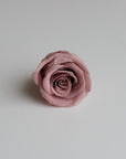 Camilia Preserved Rose 8pcs