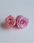 Camilia Preserved Rose 8pcs