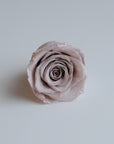Camilia Preserved Rose 8pcs