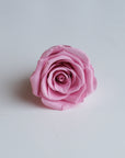 Camilia Preserved Rose 8pcs