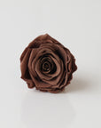 Camilia Preserved Rose 8pcs