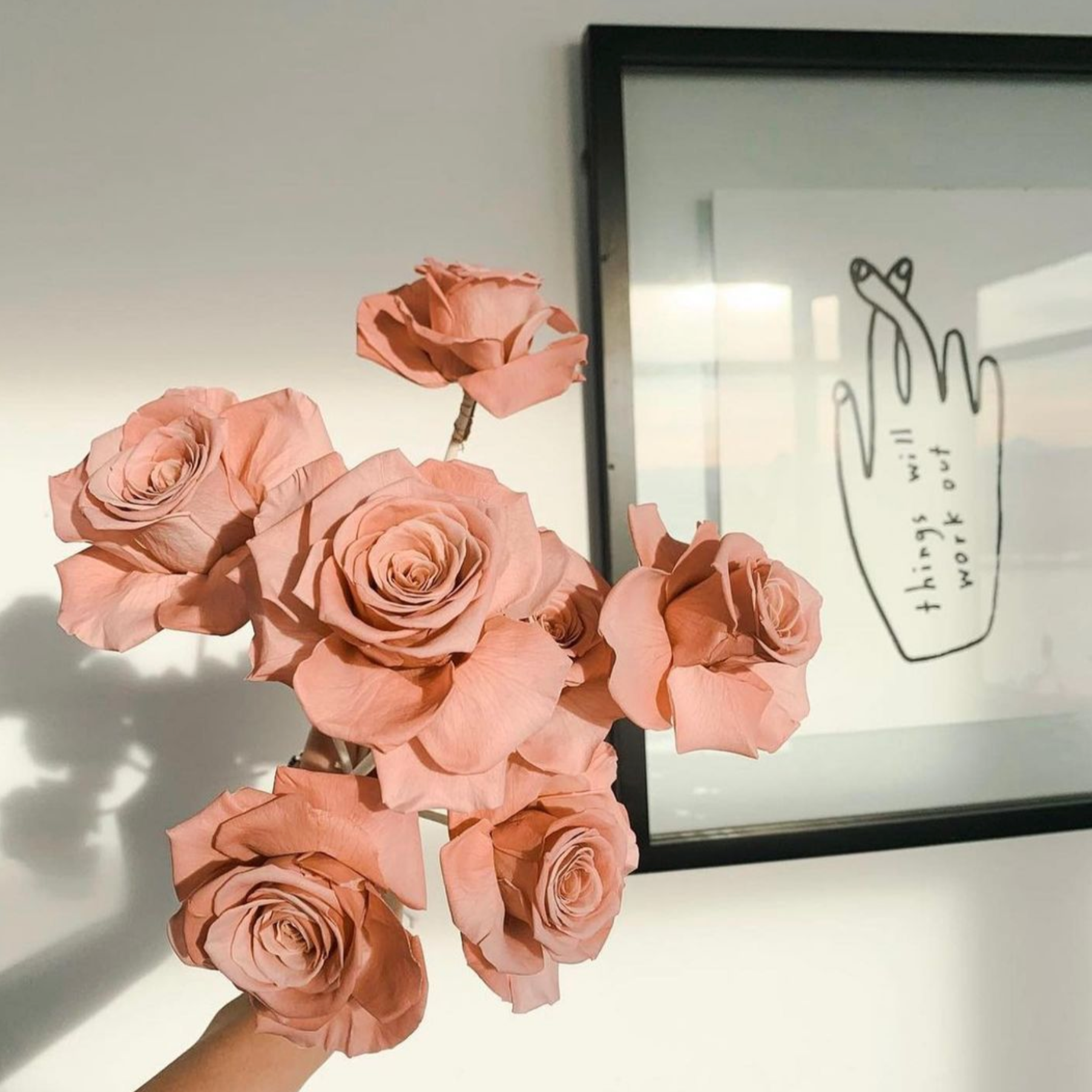 Camilia Supply Preserved Rose