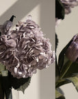 Camilia Supply Flower Liquid Color Dye