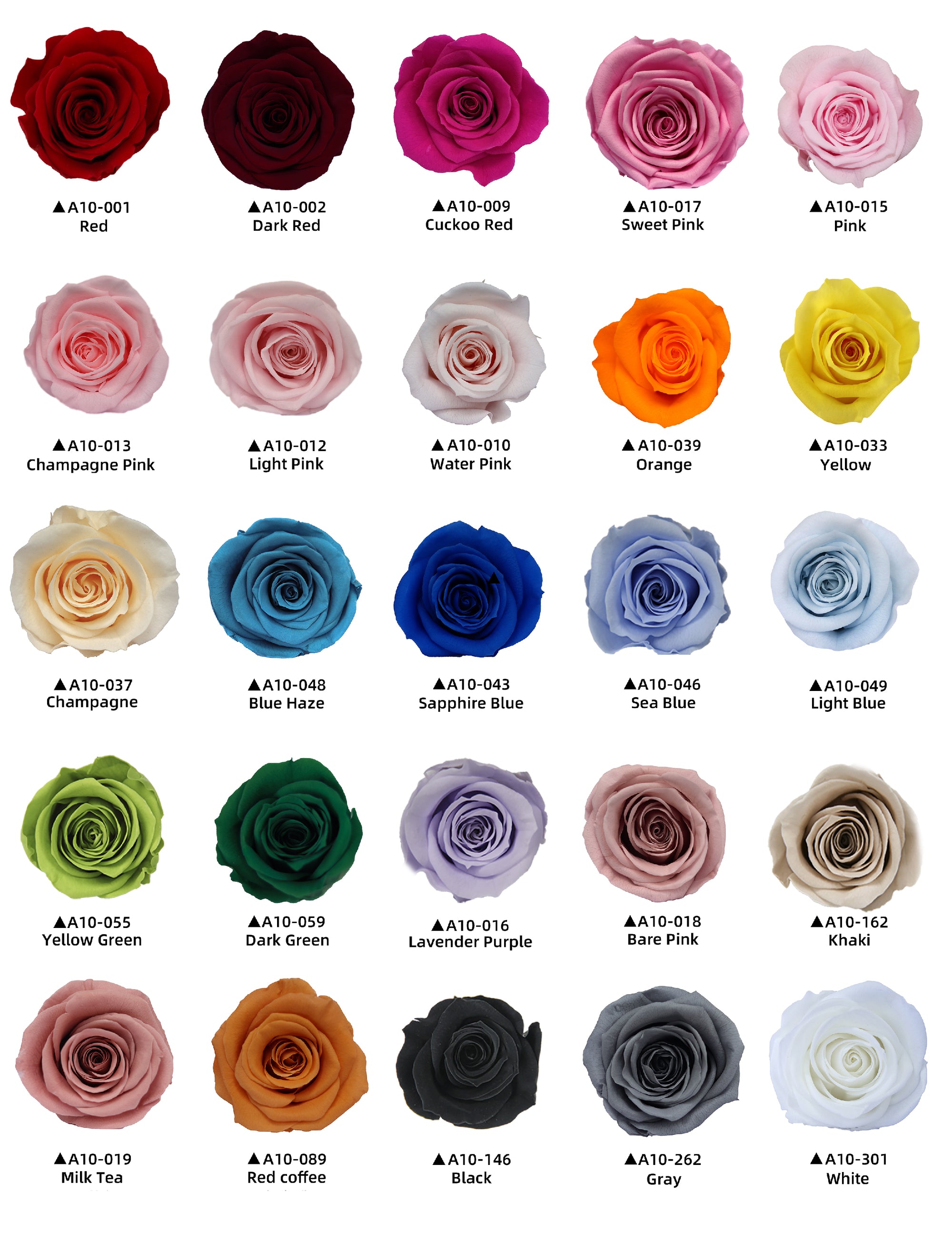 Camilia Preserved Rose 8pcs