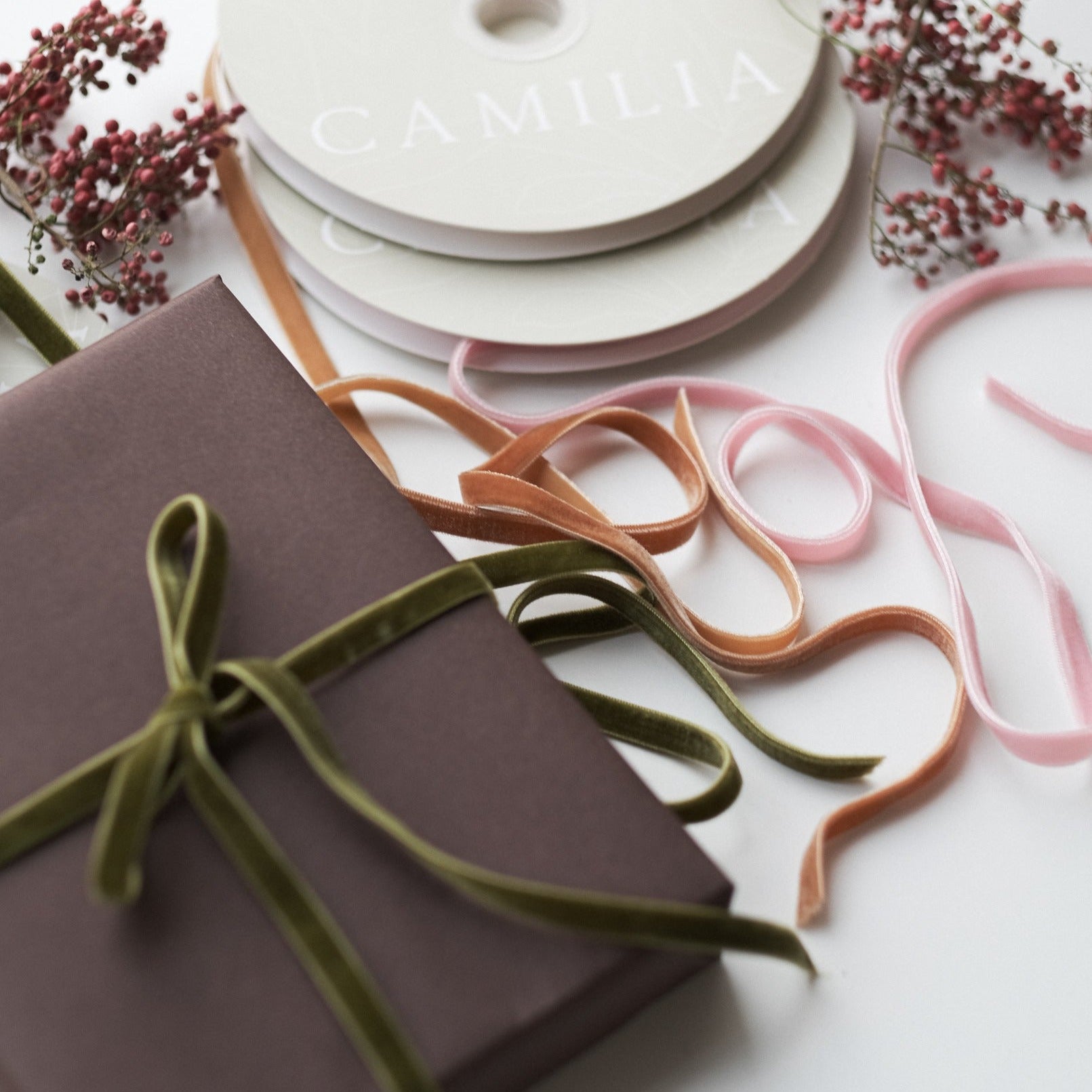 Ribbons Collection | Camilia Supply | Modern Home & Floral