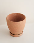 Terracotta Planter