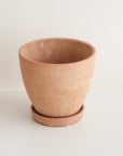 Terracotta Planter