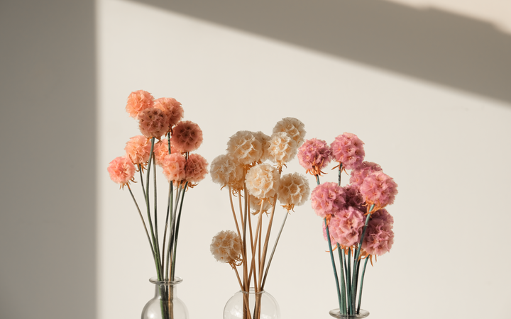 Camilia Supply | Modern Home & Floral Supply