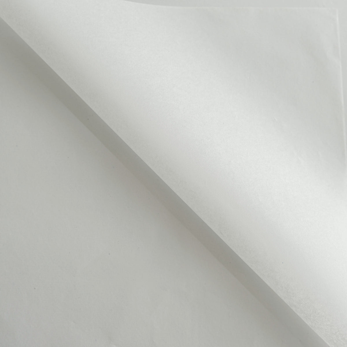 Tissue Wrapping Paper | Camilia Supply | Modern Floral & Home Supply