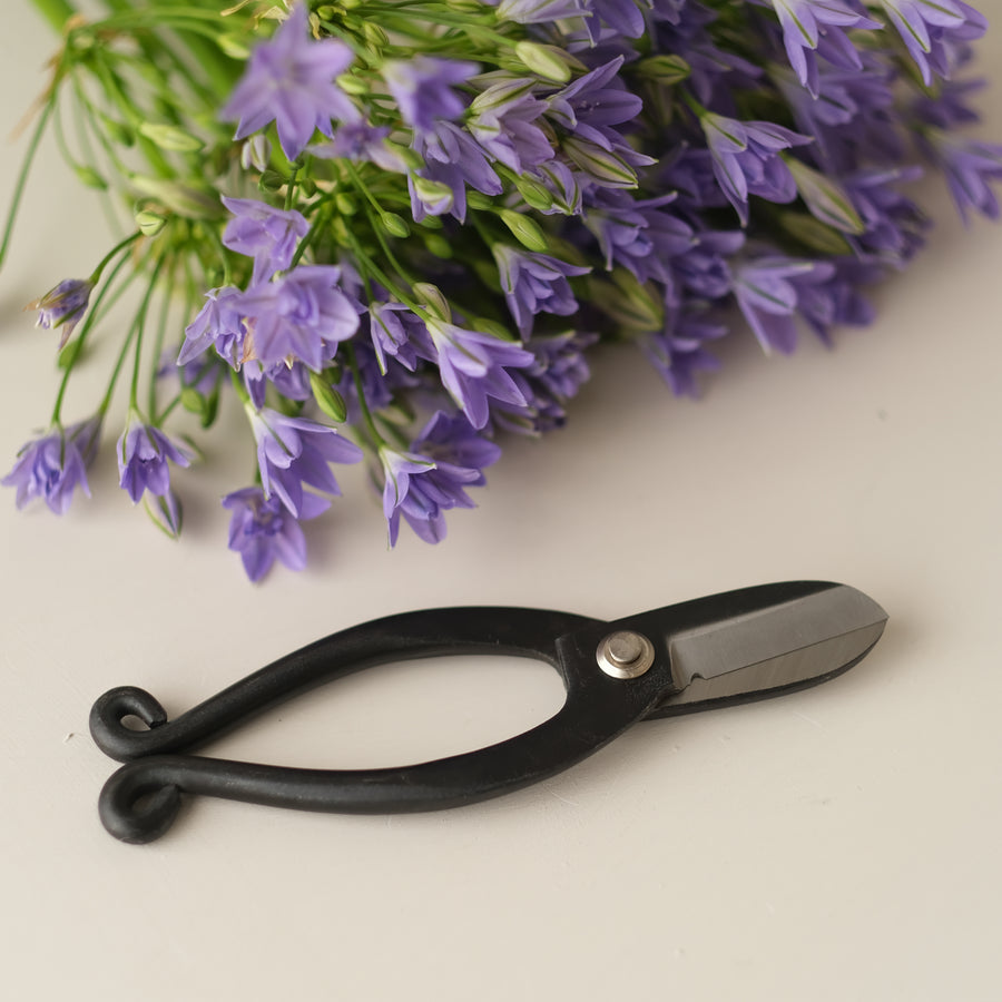 Camilia Supply Ikebana Scissors