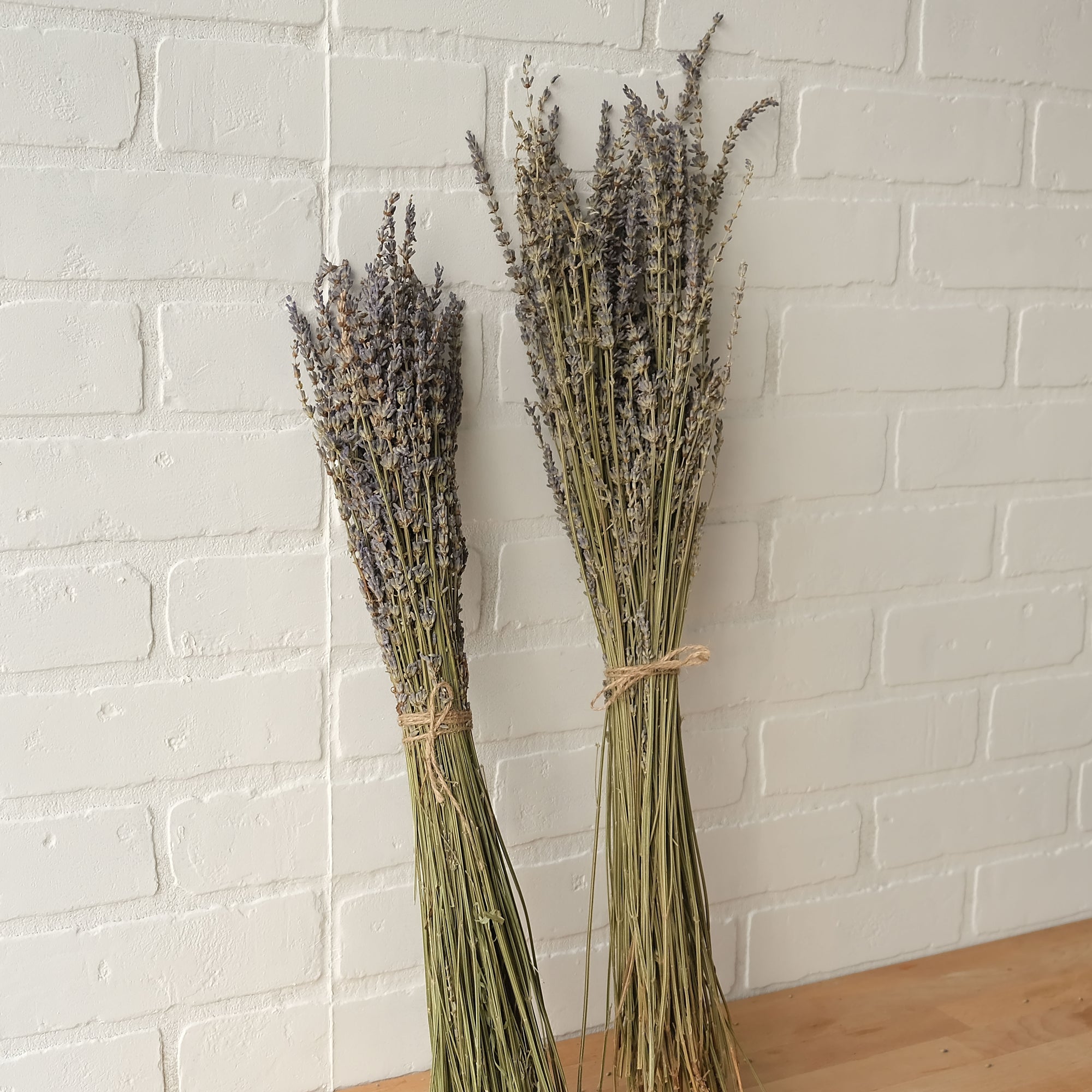 Camilia Supply Dried English Lavender