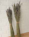 Camilia Supply Dried English Lavender