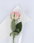 Single Flower Wrapping Package