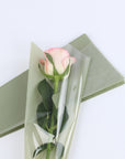 Single Flower Wrapping Package