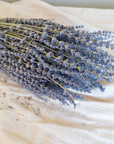 Camilia Supply Dried English Lavender