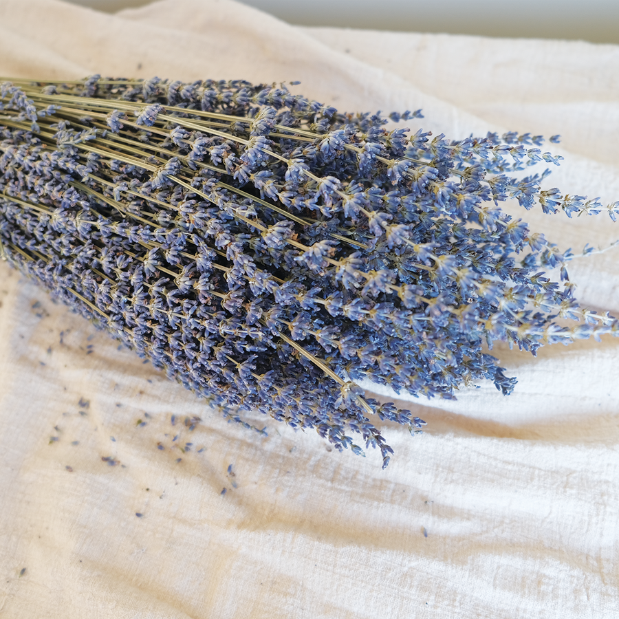 Camilia Supply Dried English Lavender