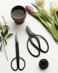 Ikebana Scissors