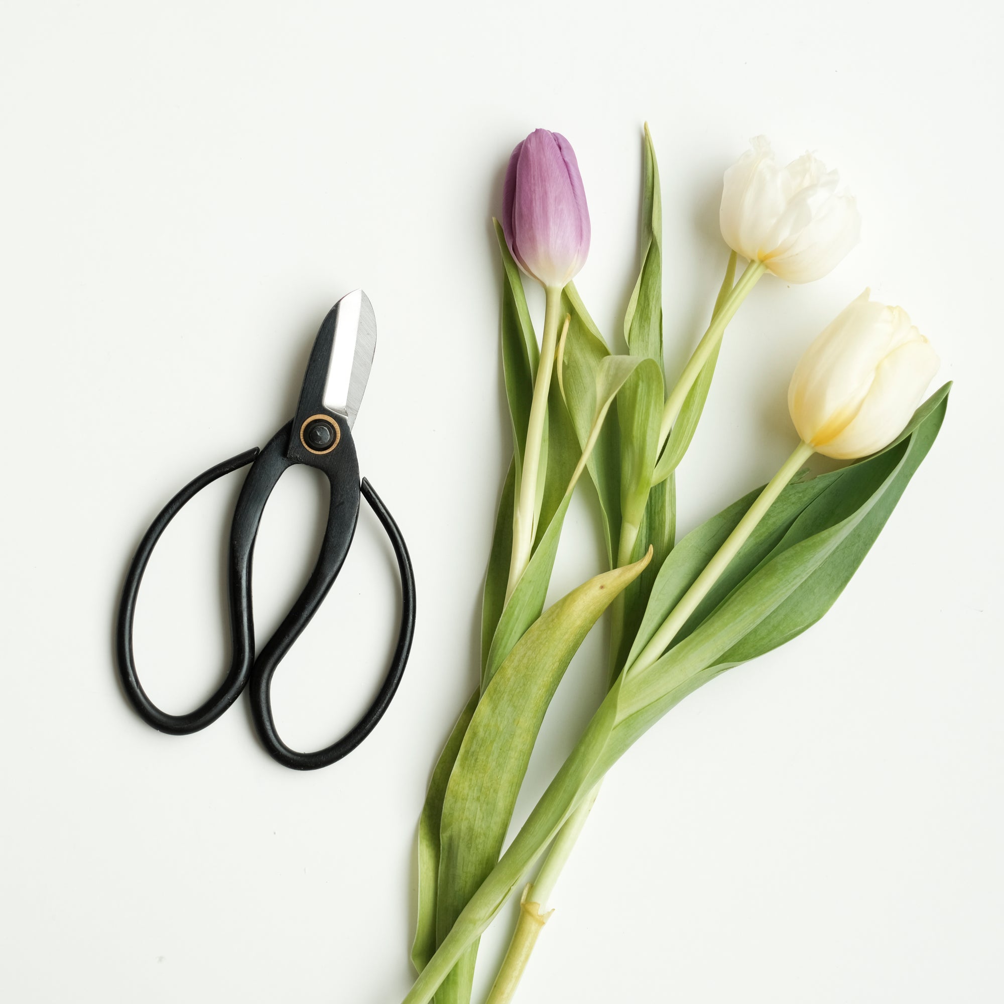 Ikebana Scissors