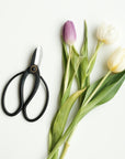 Ikebana Scissors