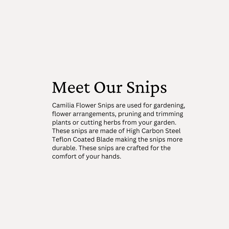 Flower Snip Camilia Supply Modern Modern Floral Supply