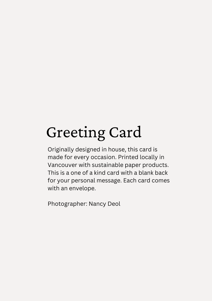 Greeting Cards (Pack of 5)